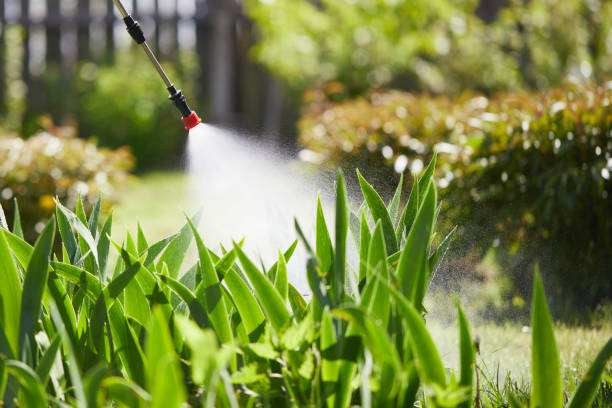 24/7 Emergency Fumigation Services experts in Chalfont, PA