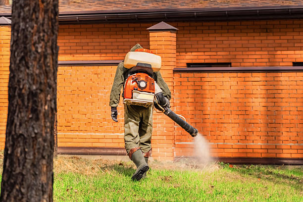 Trusted Termite Control service in Chalfont, PA - Nex Pest Control
